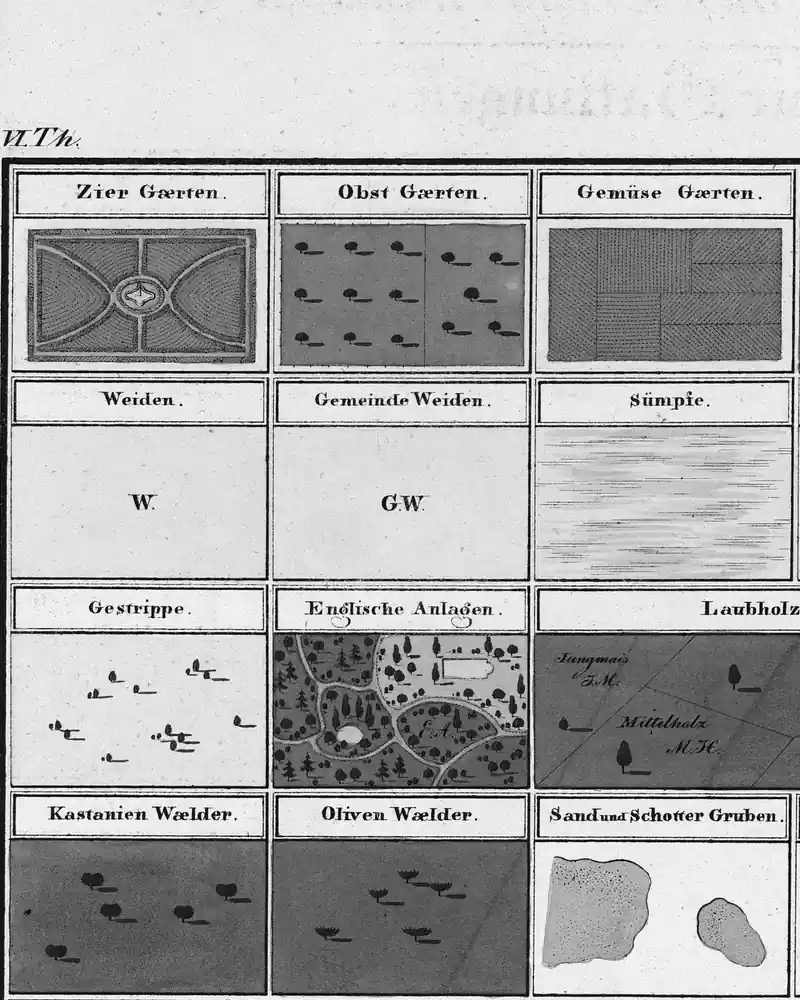 Detail of a historic map in black and white: the cadastre's signs.