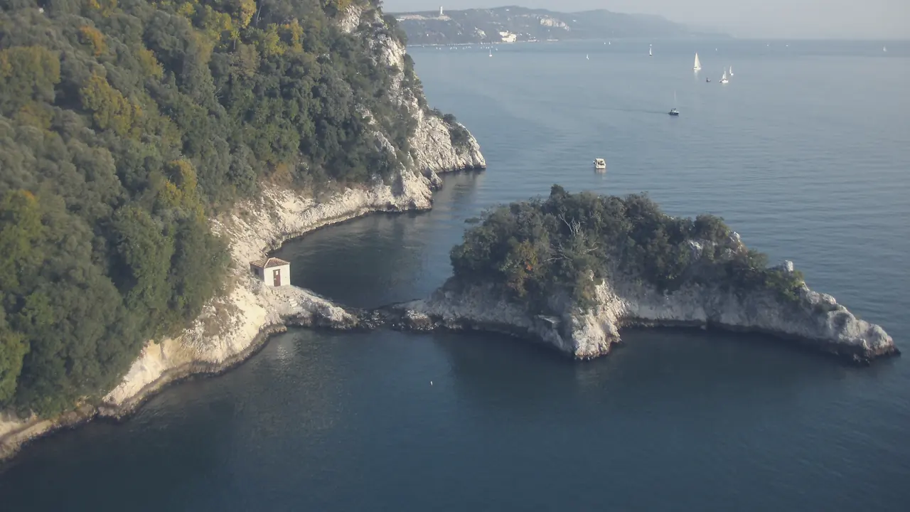 The white cliffs of the Trieste coast dropping into the sea, with pines on the rock.