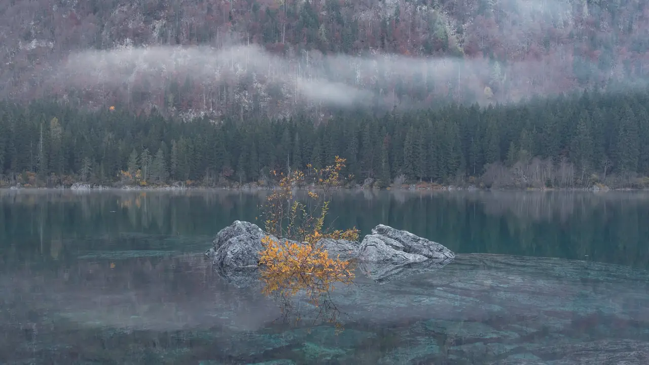 Lake Fusine with fir trees on the shore and a band of mist on the mountainside.