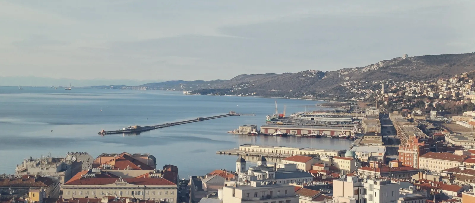 Trieste seen from above, with the port and the open gulf as far as the horizon.