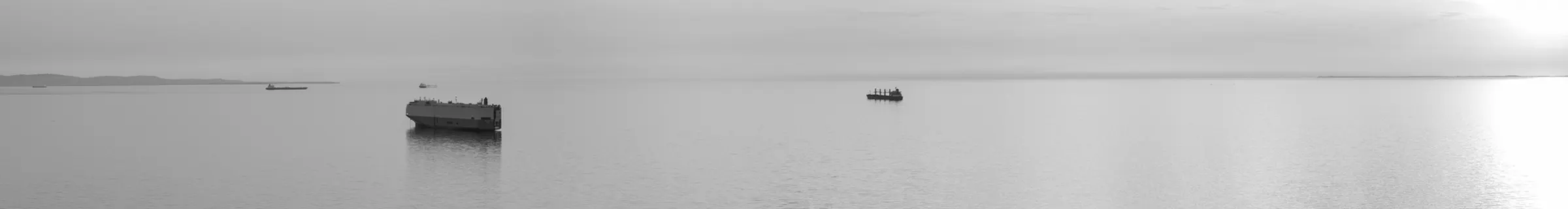 A strip of the Gulf of Trieste in black and white, with two ships at anchor and the low coast on the horizon.