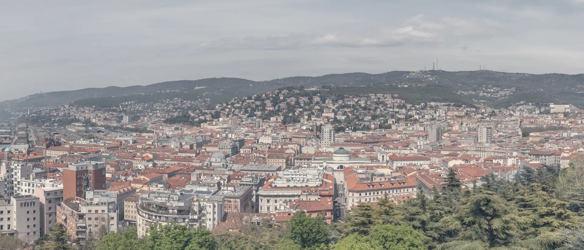 The red roofs of central Trieste seen from above, with the Karst hills behind and trees in the foreground.